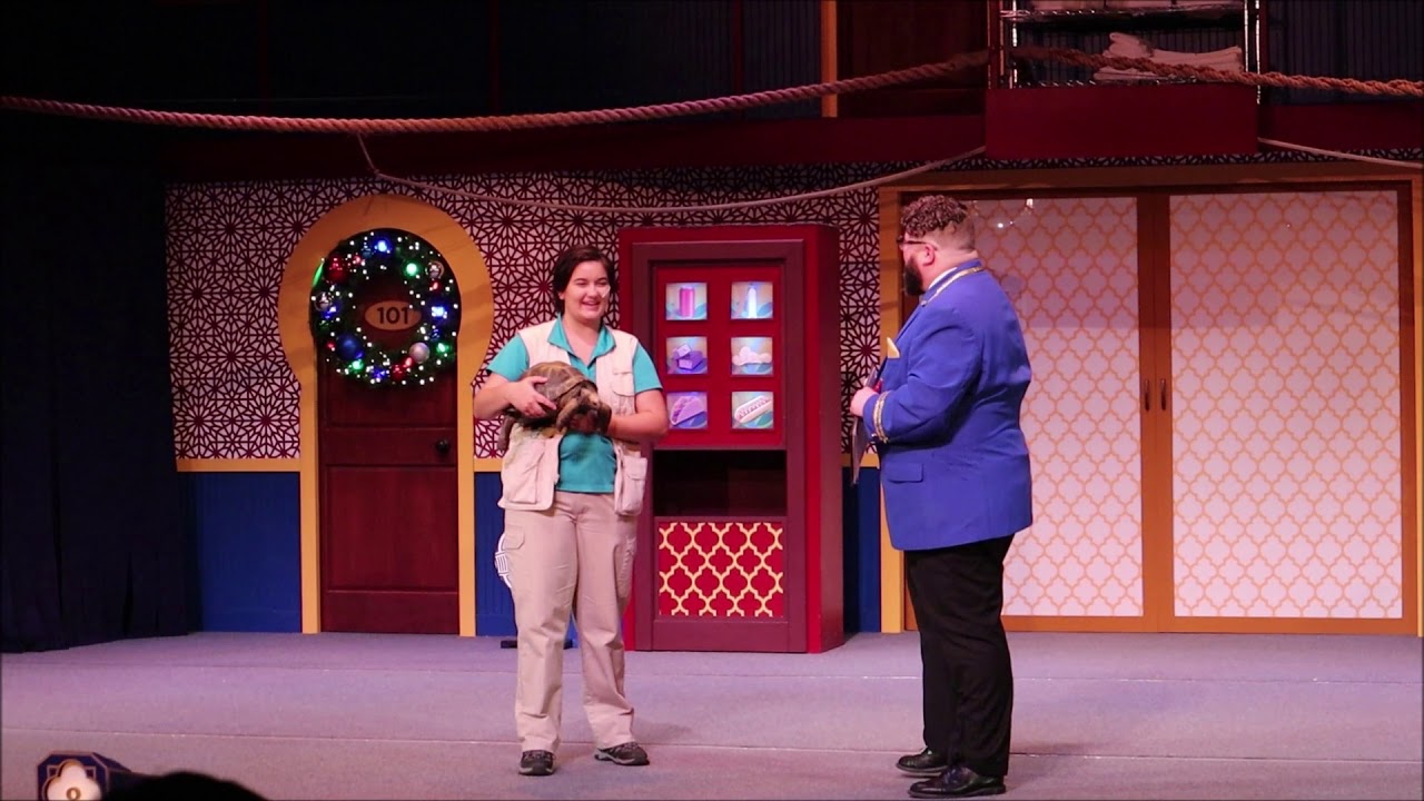 Pets show at Busch Gardens