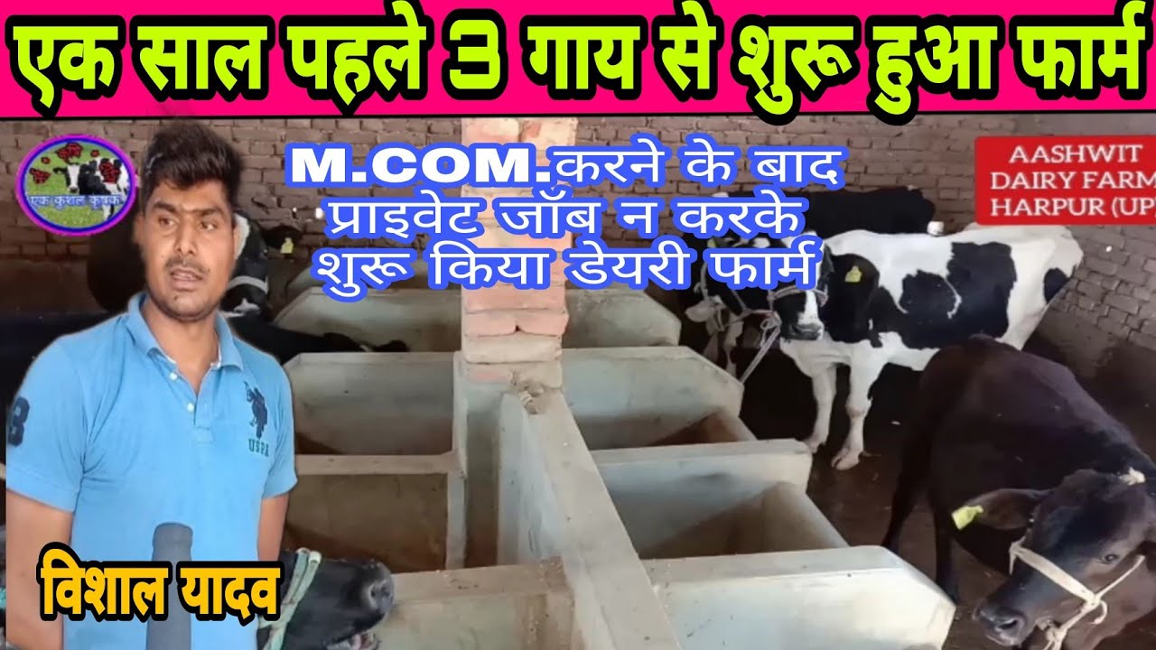 M.Com. करने के बाद क्यों शुरू किया डेरी फार्म ll dairy farm up ll aashwit dairy farm Gazipur up ll