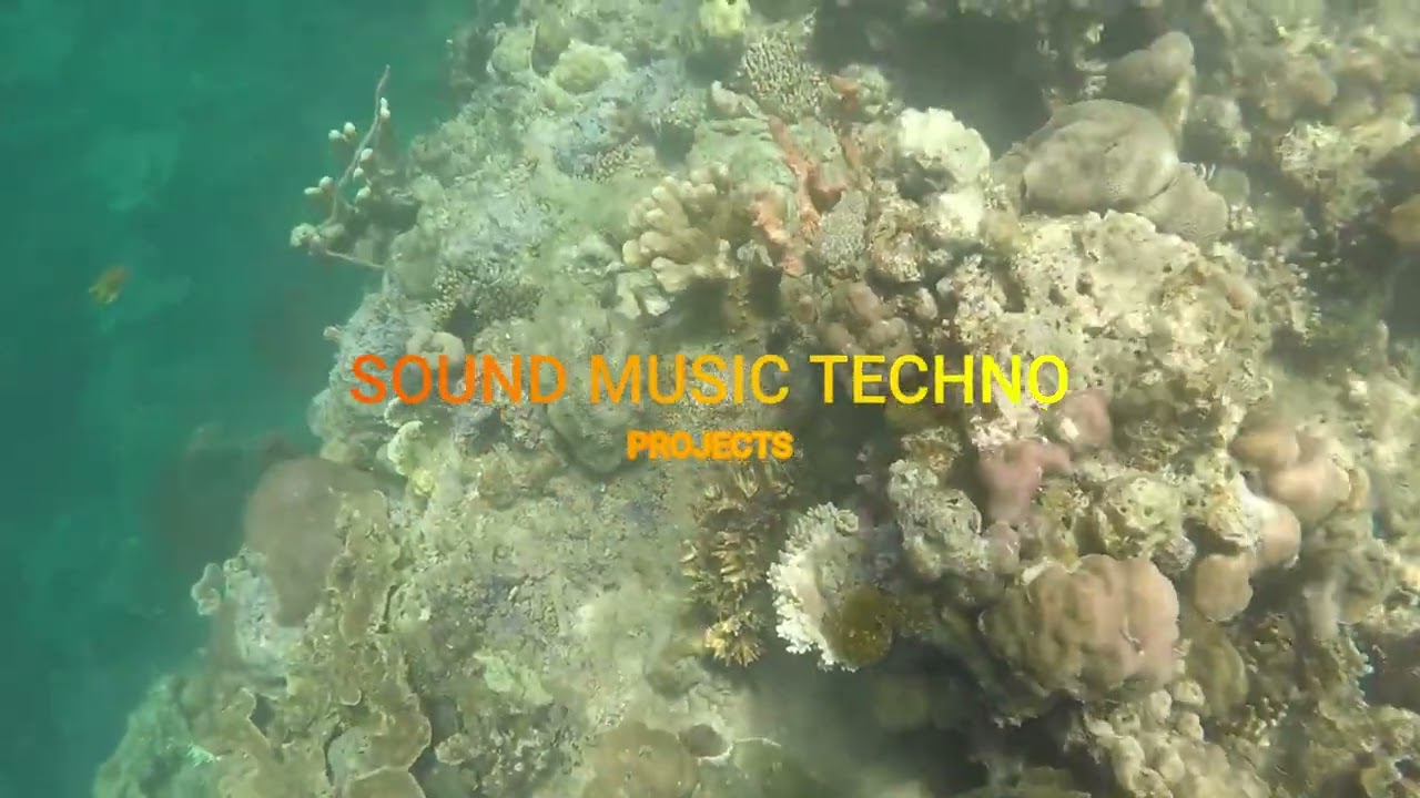 THE SOUND OF MUSIC TECHNO PROJECTS 5,NOVEMBER 2024 #musikviral #musictechno #musikdj