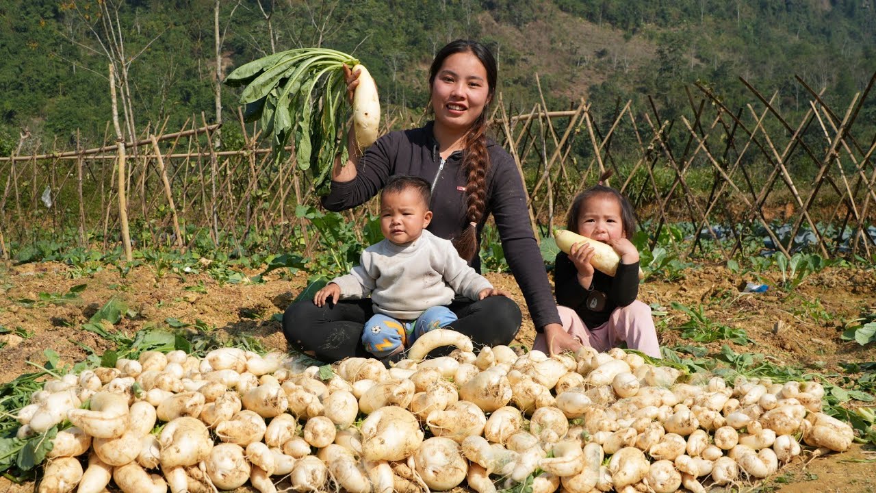 Harvest giant radishes to sell at the market - cook food for the pigs with your children