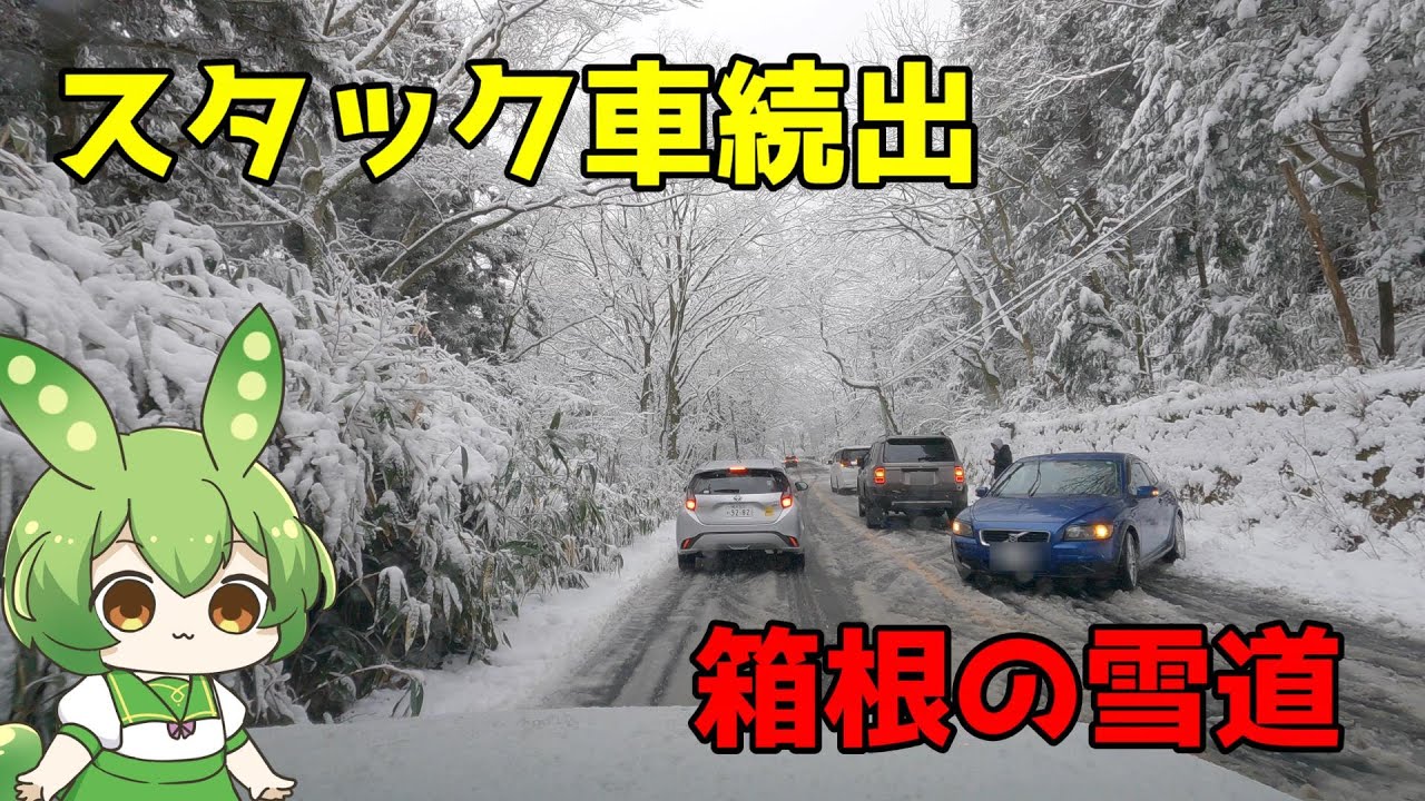 【車載動画】箱根の雪道をドライブしたらノーマルタイヤのスタック車だらけだった件【ずんだもん】