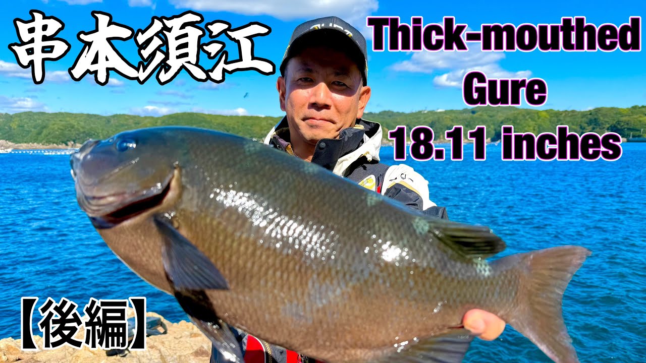 黒潮接岸で大グレ期待大！串本大島のポテンシャルを見よ！【後編】須江湾内磯#浜勝渡船