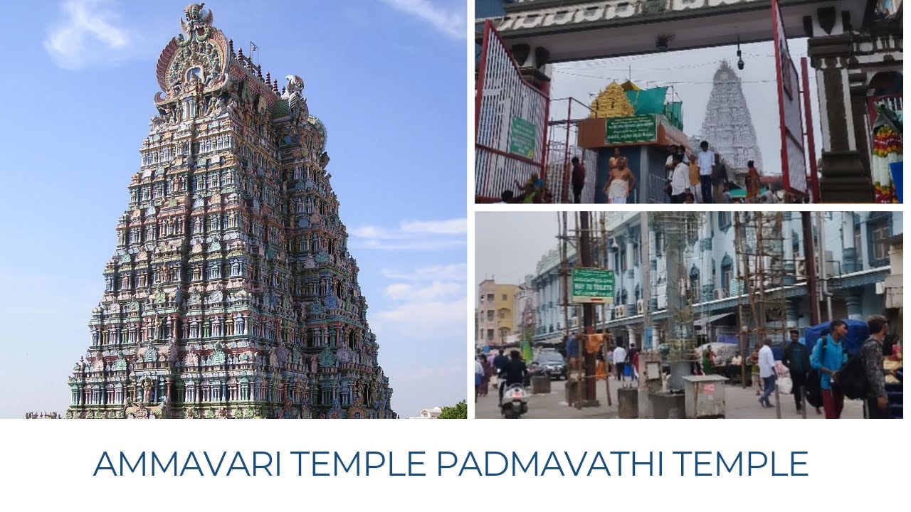 Ep-5 Tirupati station to Ammavari Temple Padmavathi Temple | Visit Padmavati temple by bus. Easy