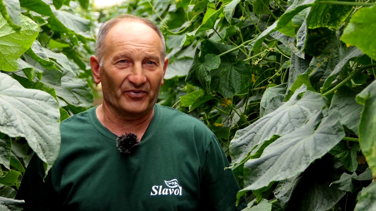 AgroDan_24.06.2019