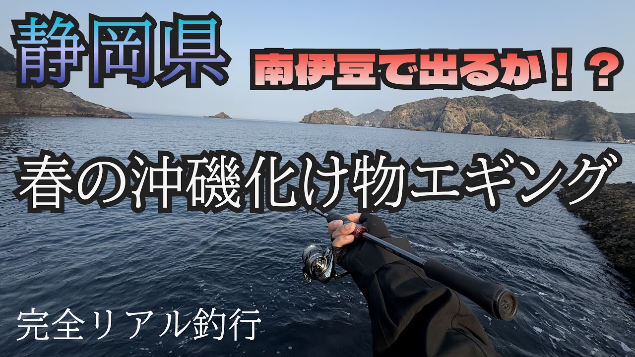［エギング］春開幕か！静岡県の沖磯で春イカ調査！！［リアル釣行］