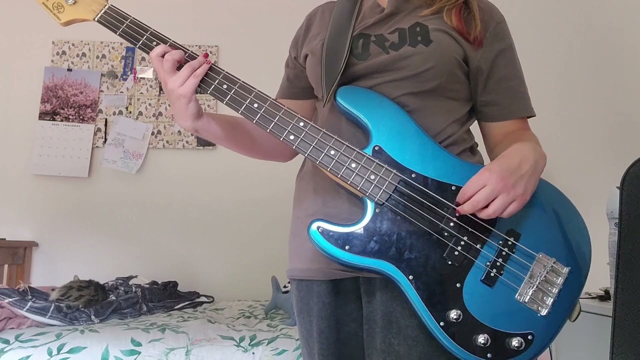 Amazed- The Offspring BASS COVER