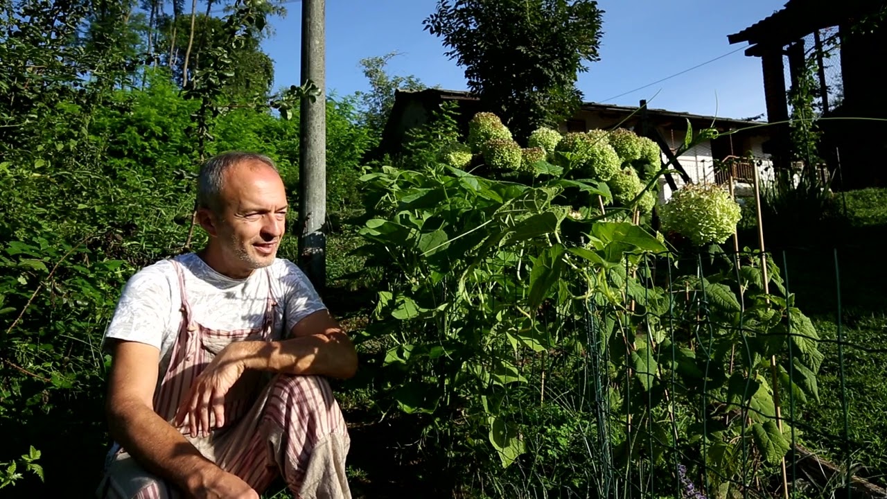 Video 158 - La Zucca centenaria
