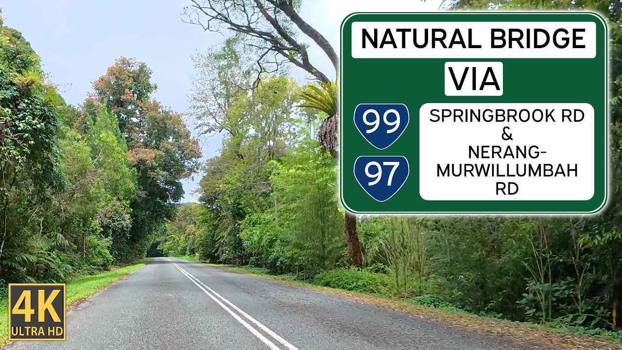 Wallaby crossing and scenic Queensland descent – Springbrook Road to Natural Bridge