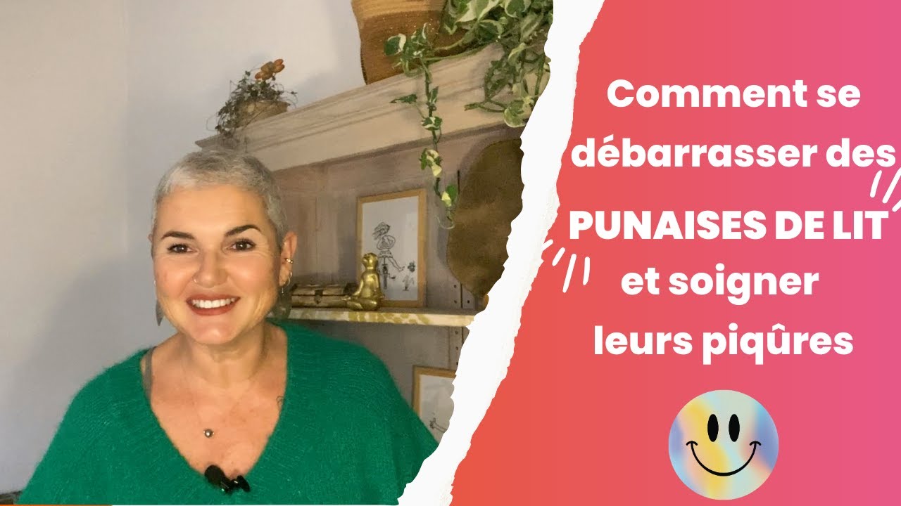 COMMENT SE DEBARRASSER DES PUNAISES DE LIT ET SOIGNER LEURS PIQURES?