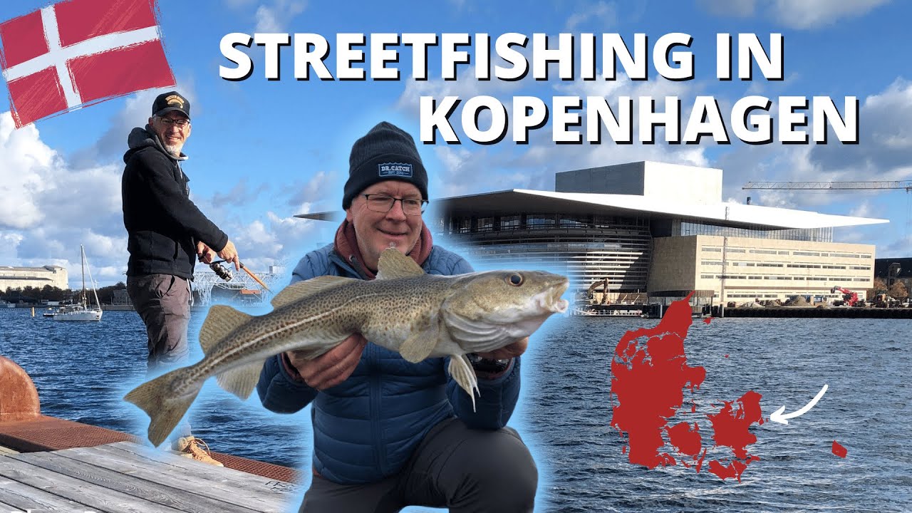 Angeln in Dänemark - Mega cool: Angeln mitten in Kopenhagen - Fishing in Copenhagen