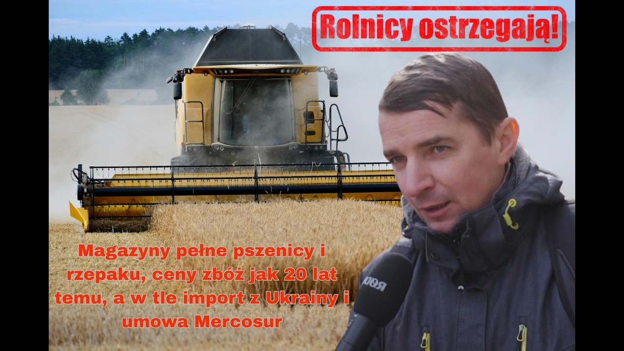 Magazyny pełne, ceny zbóż niskie. Rolnicy ostrzegają, że sytuacja się pogarsza