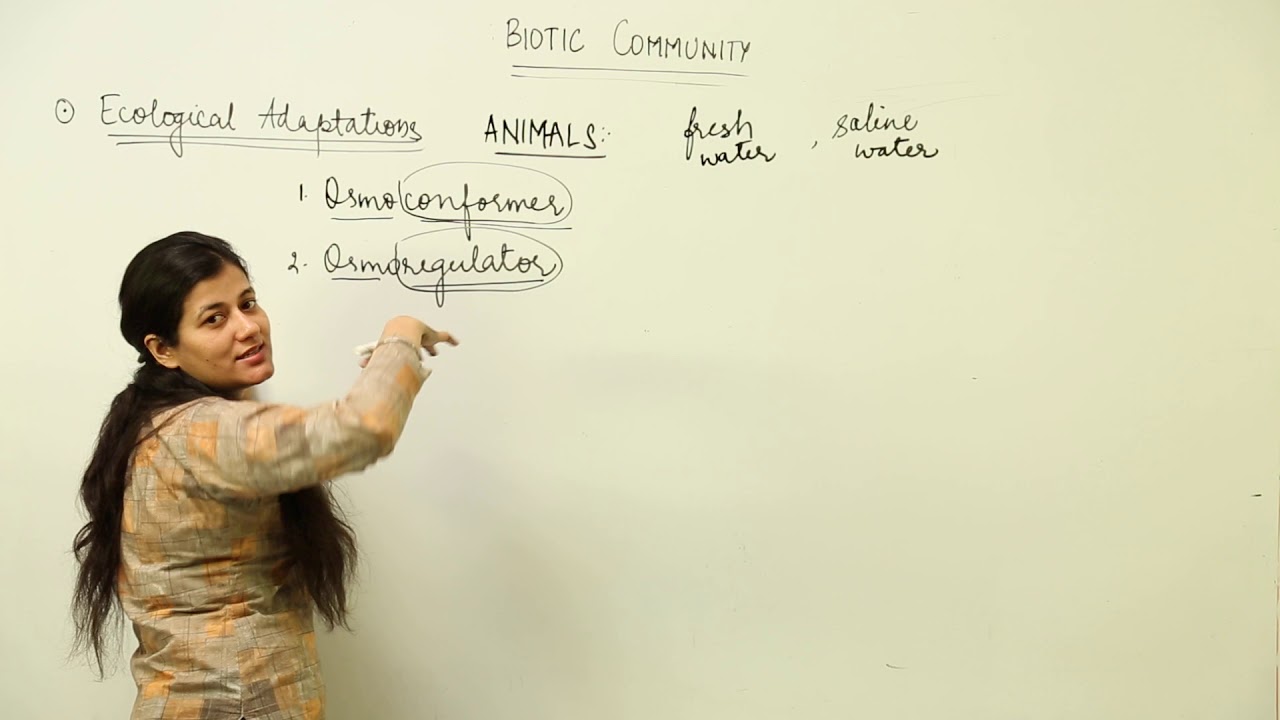 BEST LECTURE l CBSE CLASS 12 BIO l UNIT 10 l COMMUNITY l osmoregulatory & osmoconformers l L 43