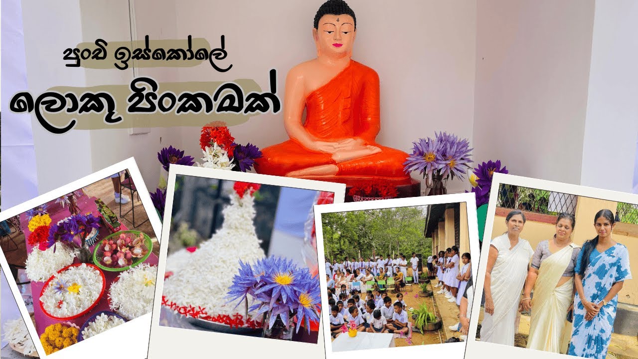 පුංචි ඉස්කෝලේ ලොකු පිංකමක් | #vlog 07 | චුටි ටිච | Nethu Maddumage