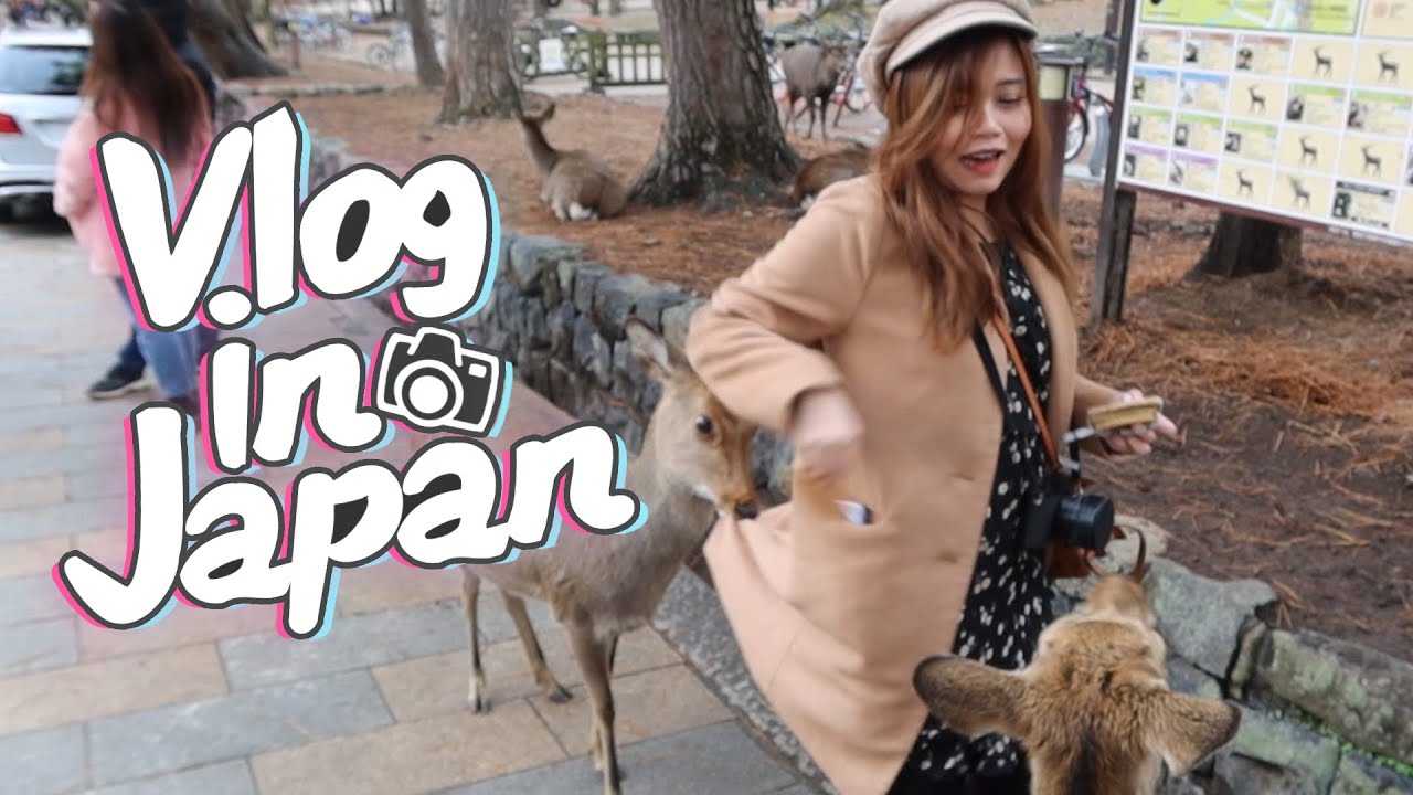 Vlog in JAPAN #1 - เที่ยวโอซาก้า นารากวางผู้น่ารัก