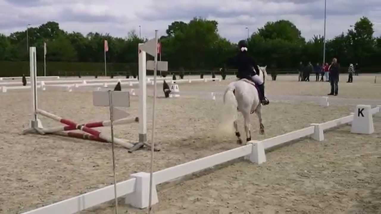 BIXIE springen, Tansy & Troy Boy (Winkeldorp's Jannes)