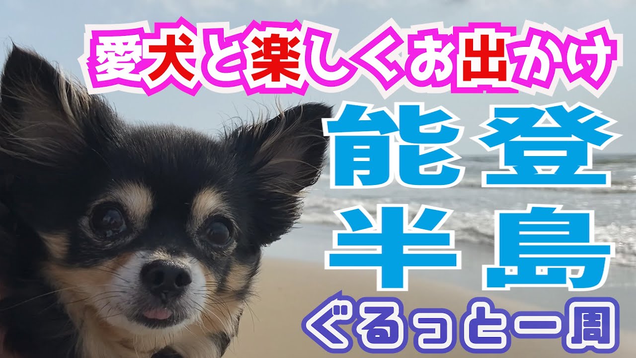 夏のドライブに最適!!能登半島ぐるっと１周！千里浜なぎさドライブウェイ～輪島朝市～能登島