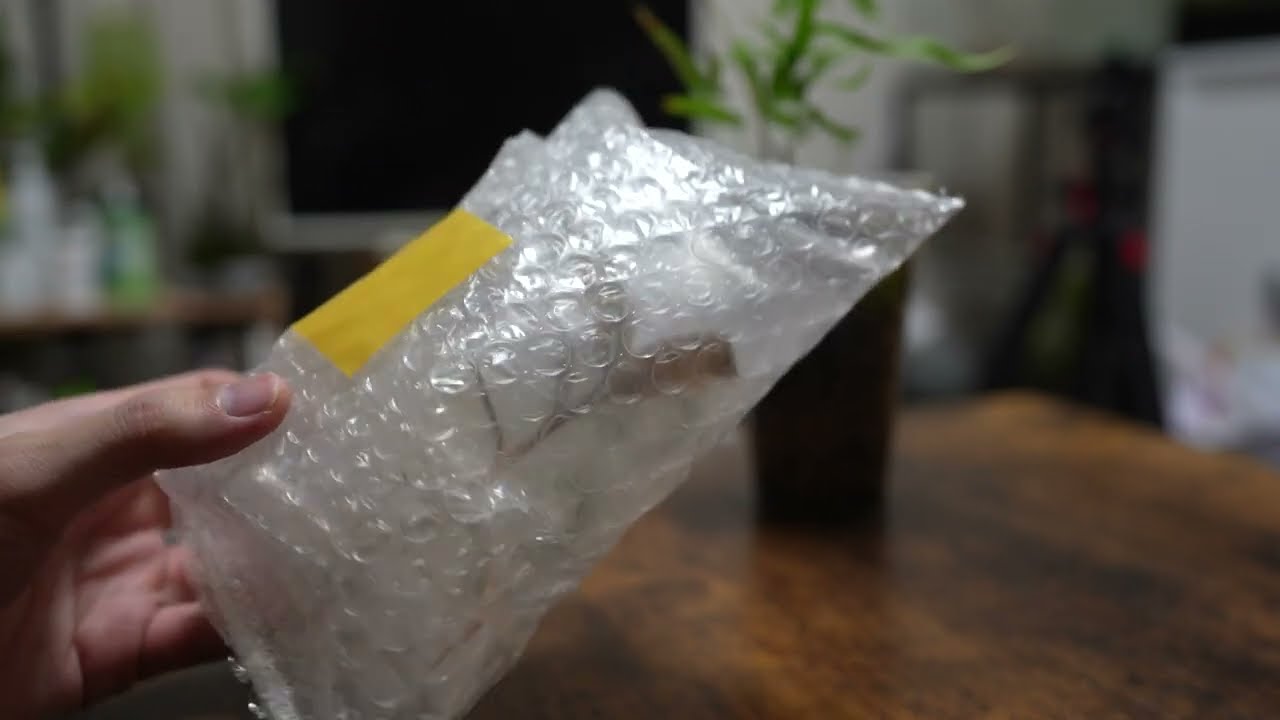 東京遠征の感想と購入品紹介