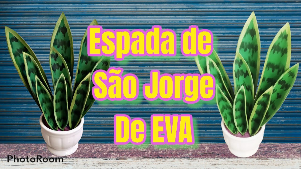 Passo a Passo da Planta Espada de São Jorge de EVA.