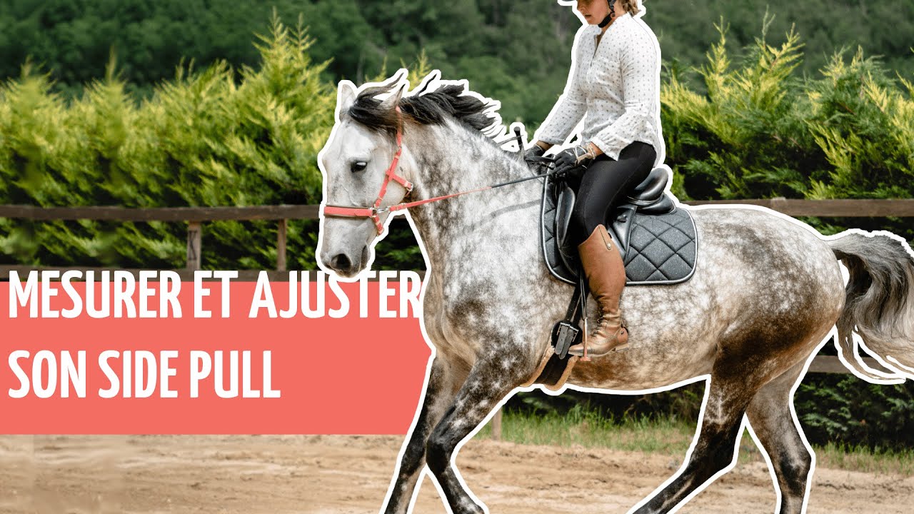 Horse & Tips | Mesurer et ajuster son side pull