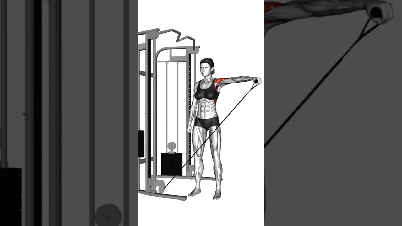 2er Split Trainingsplan - Tag 1: Push Training #trainingstipps #trainingsplan #brusttraining