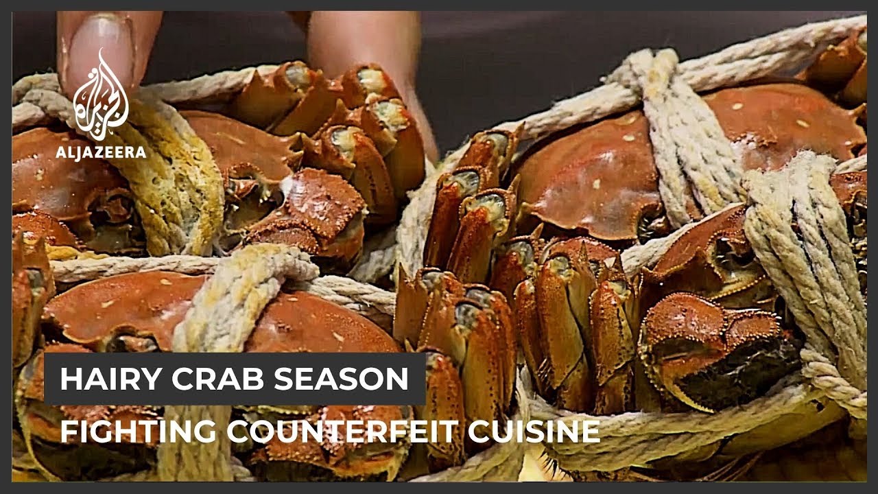 Fighting China's counterfeit crab problem