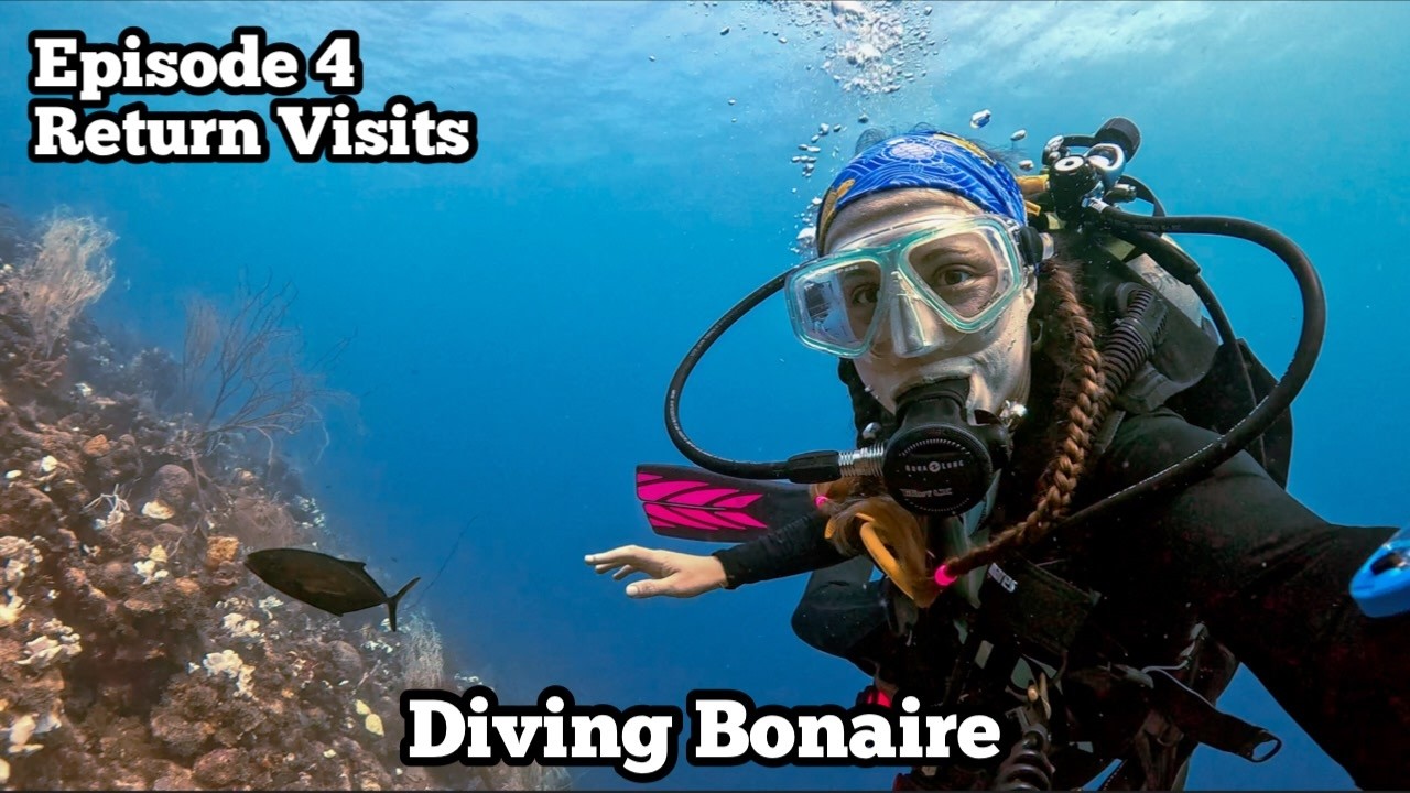 Return Visits | Hilma Hooker, Lake ,Tolo, Karpata | Diving Bonaire '24 Ep 4