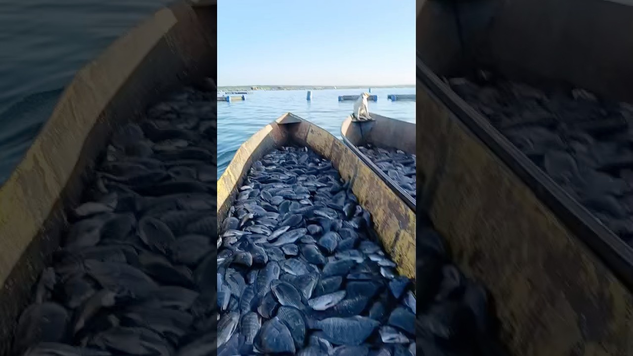 Açude Castanhão é Fartura