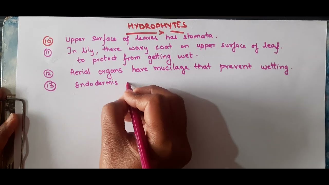 Hydrophytes and their characterstics