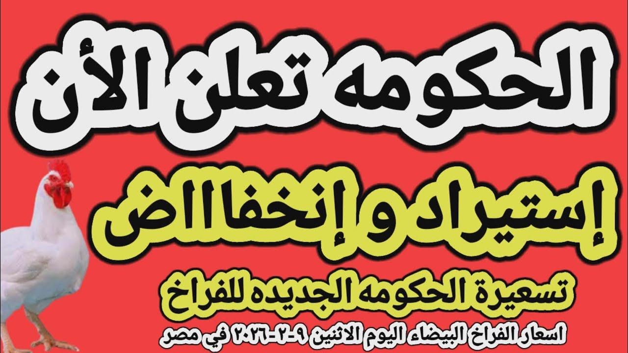 اسعار الفراخ البيضاء اليوم/ سعر الفراخ البيضاء اليوم الاثنين ٩-٢-٢٠٢٦ في مصر جمله وقطاعي