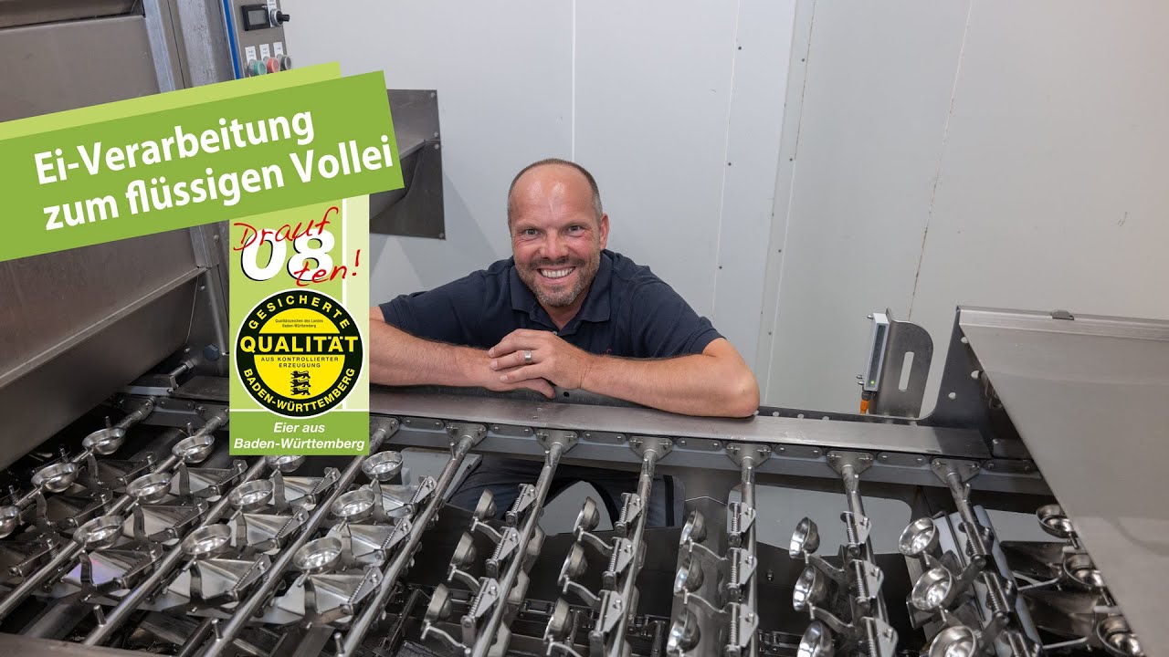 Ei-Verarbeitung zum flüssigen Vollei