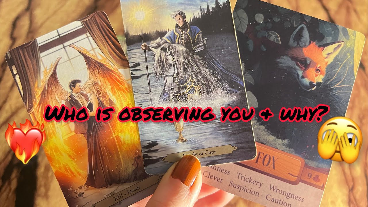 Who is observing you & why?🫣This person is a trickster & making a plan to manipulate U again 🥵