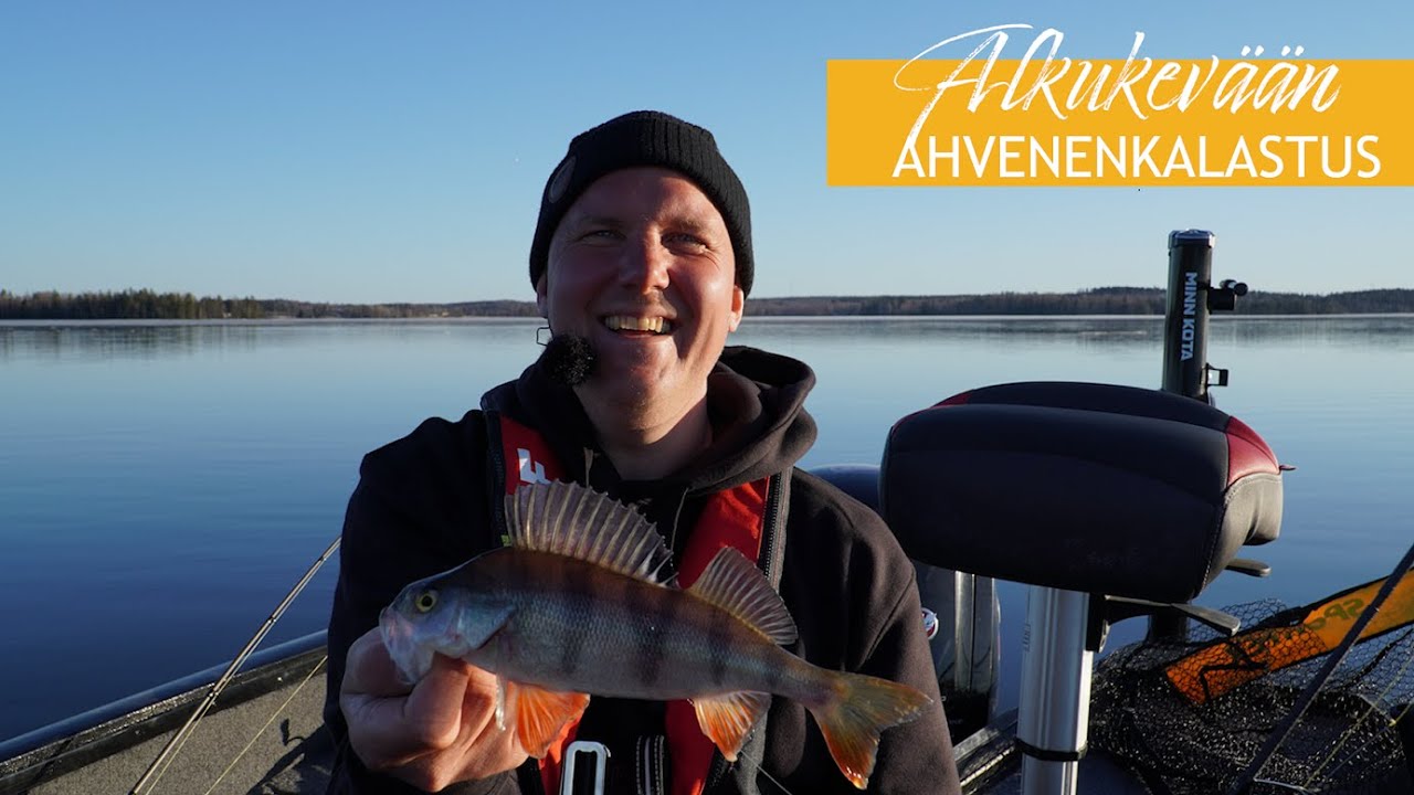 Kylmän veden ahvenenkalastusta Kallen kanssa