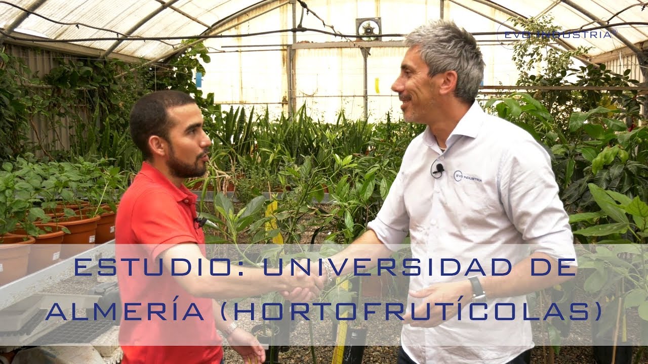 Estudio Universidad de Almería - Ozono en Plantas Hortícolas