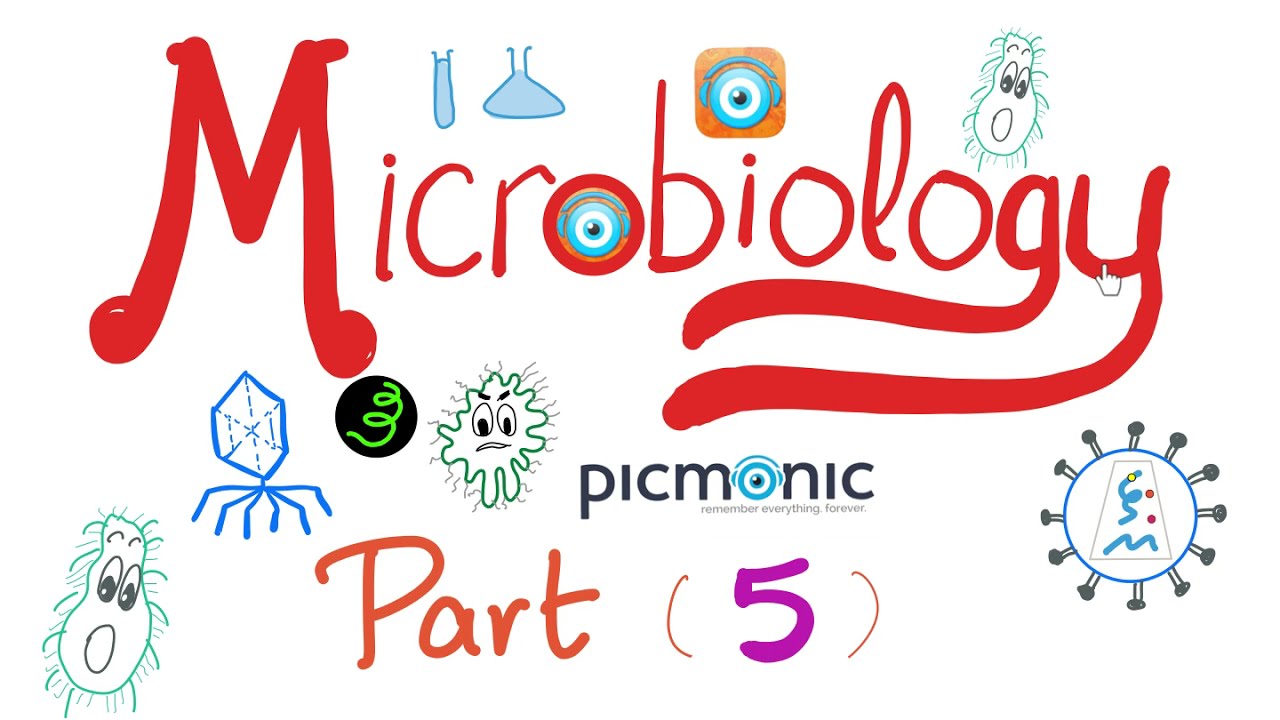 Microbiology - Bacillus anthracis, Bacillus cereus, Mycobacteria (TB, Leprosy) - Picmonic - Part 5