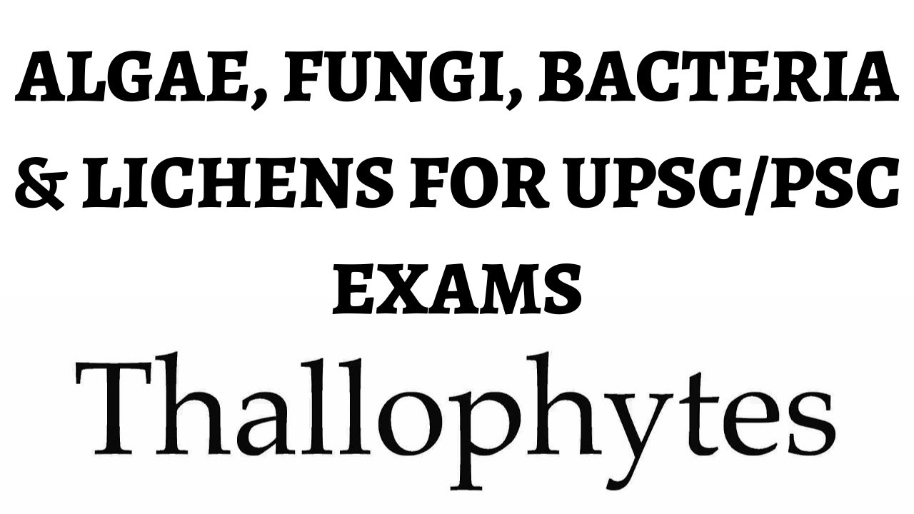 Thallophyta (Fungi, Algae, Lichens & Bacteria) Important Points for UPSC/PSC Exams