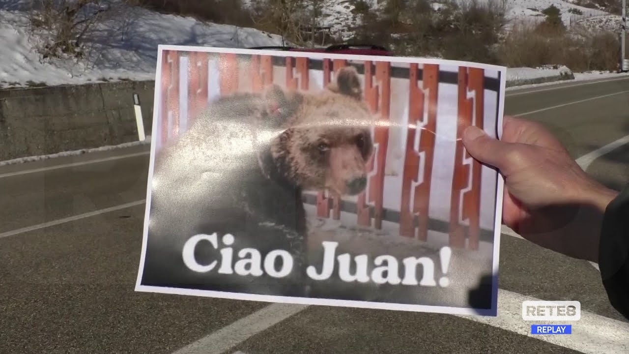 Juan Carrito - Ecco dove ha dormito prima di morire