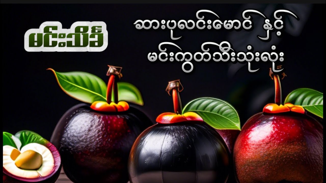 ဆားပုလင်းနှင်းမောင် နှင့် မင်းကွတ်သီးသုံးလုံး #မင်းသိင်္ခ #စုံထောက်ဝတ္ထုတို #mindreader