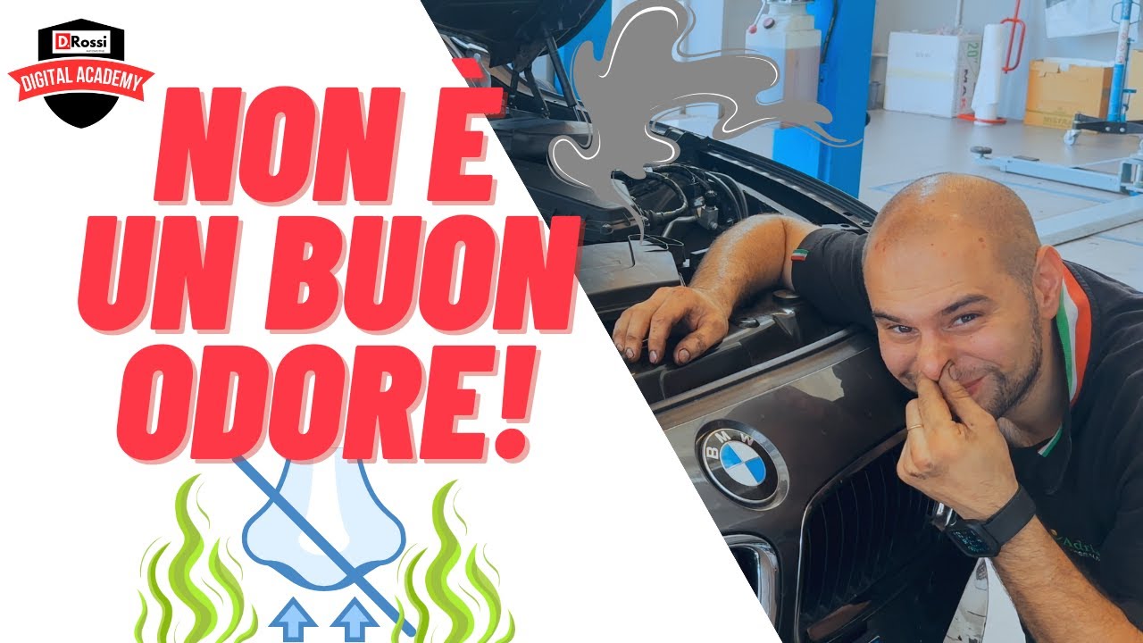 ODORE PUZZA IN ABITACOLO ? TROVIAMO IL PROBLEMA IN QUESTA BMW SERIE 3 N47