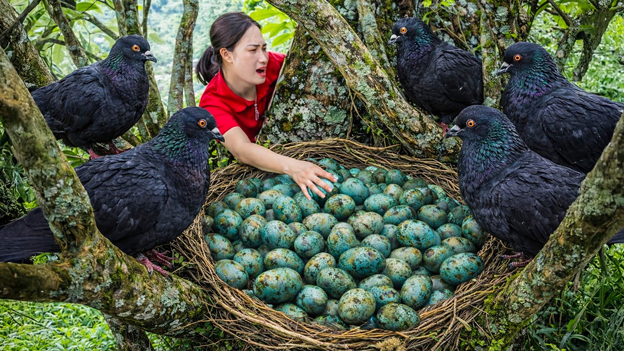 Harvesting Giant Forest Creatures & Rare Egg Nests, Grilling Whole Over Open Fire | Off Grid Life