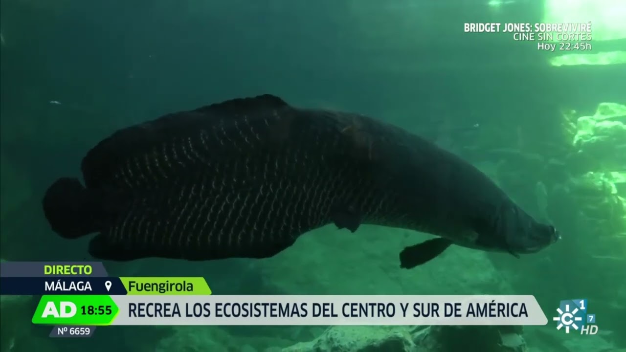 Andalucía Directo - Nueva ampliación Bioparc Fuengirola