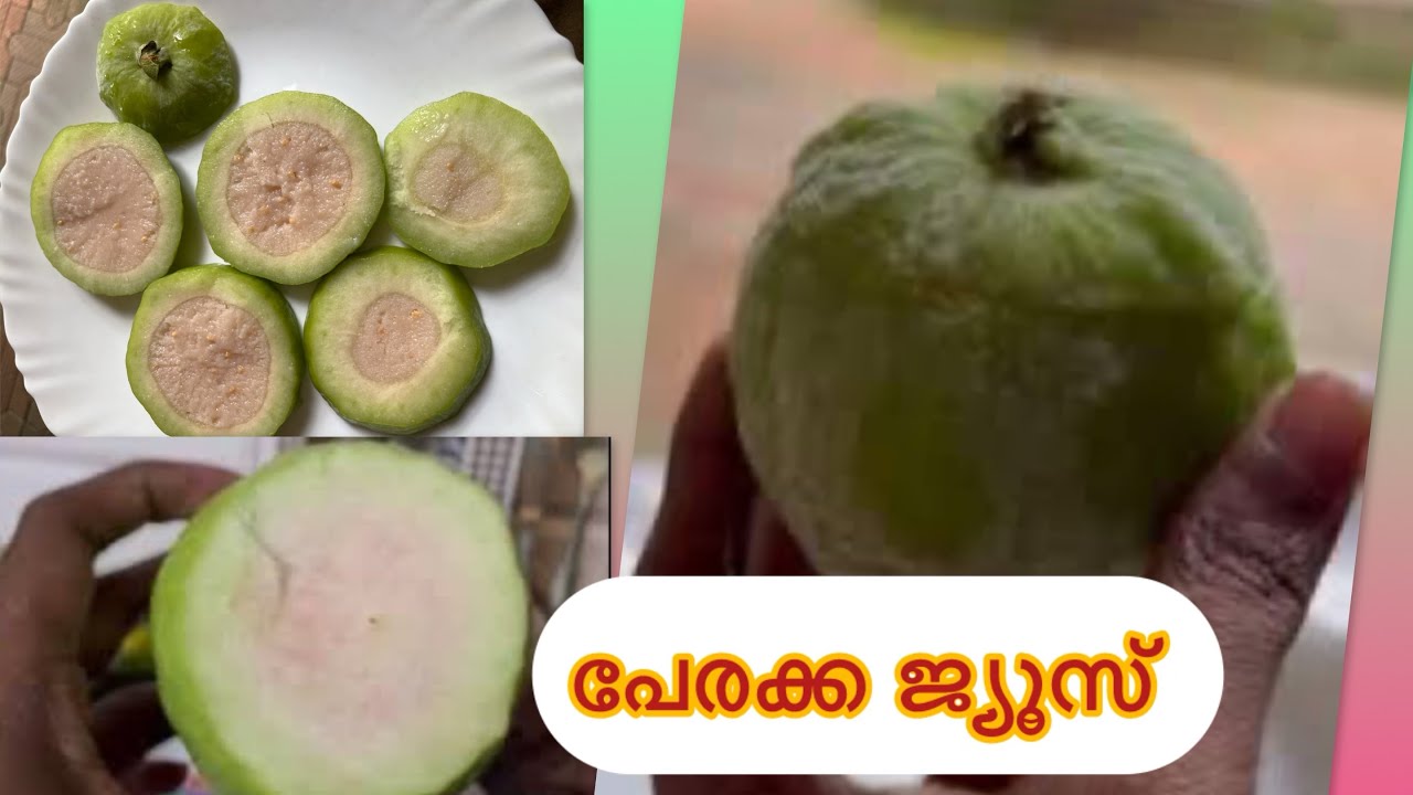 പേരക്ക ജ്യൂസ്‌ ഇതുപോലെ ഉണ്ടാക്കിയിട്ടുണ്ടോ ✌️സൂപ്പർ സ്പെഷ്യൽ 👌