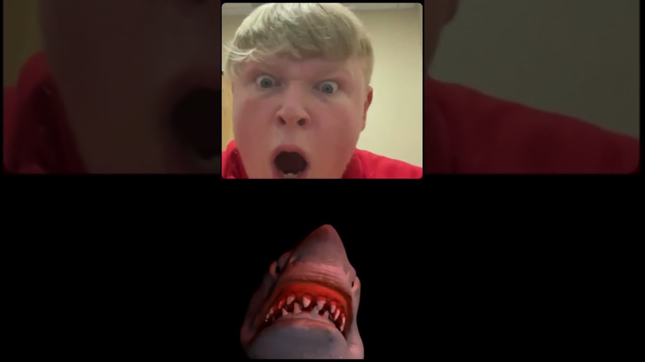 SHARK PUPPET wants BILL JENSEN'S&hellip;