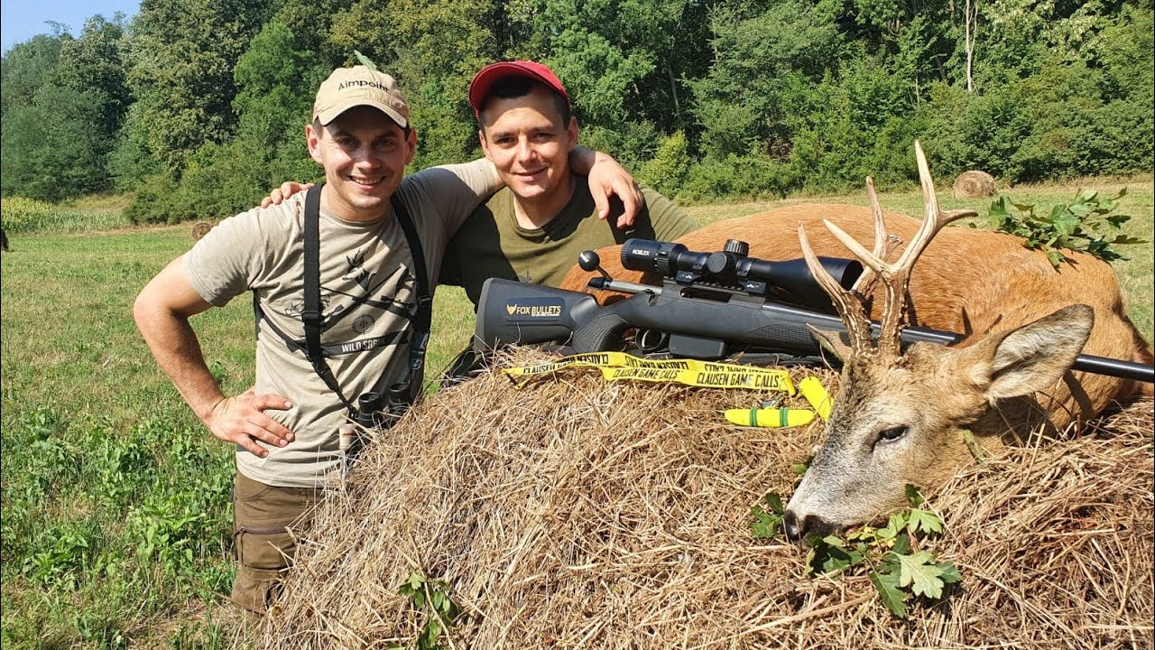 E145 Lov Srndaća u parenju - Barajevo/Roebuck hunt in the Rut - Barajevo