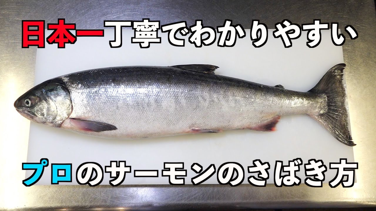 意外と知らないプロのコツ【サーモン】さばき方