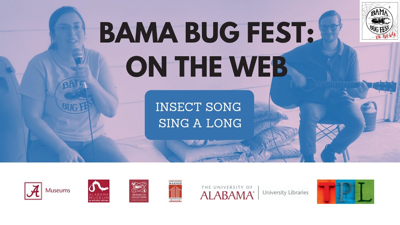 Bama Bug Fest: On the Web - Insect Song Sing a Long