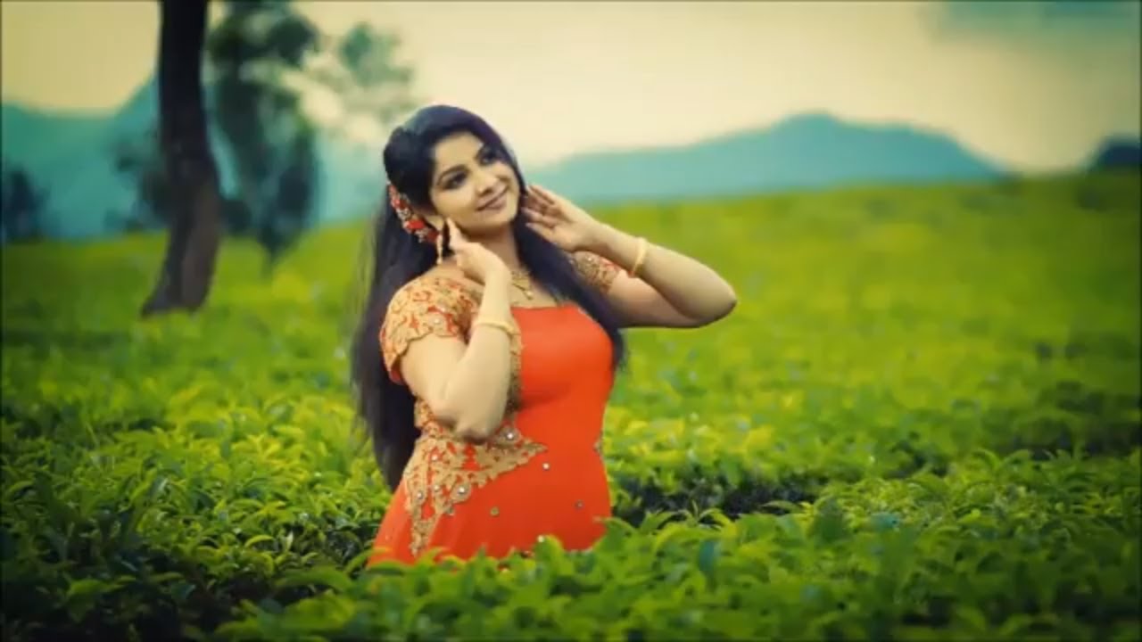 Virahardramayi... NEW LOVE SONG ജീവിതത്തിൽ ഒരിക്കലെങ്കിലും പ്രണയിച്ചിട്ടുള്ളവർ ഇത് കാണാതെ പോകരുത്!