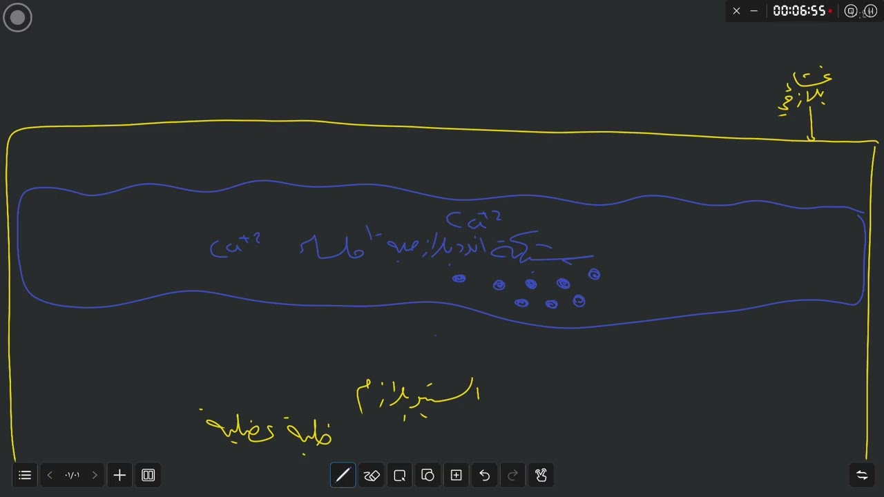 العضلات وبعض مشكلاتها ج2