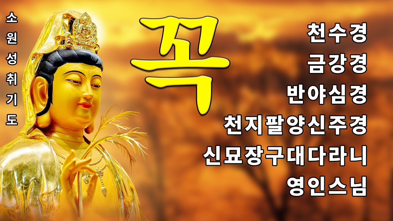 매일 들어라 소원이 실현되는 건강 과 돈 행운 🙏 천수경, 금강경, 신묘장구대다라니, 천지팔양신주경, 천지팔양신주경 우리말, 영인스님
