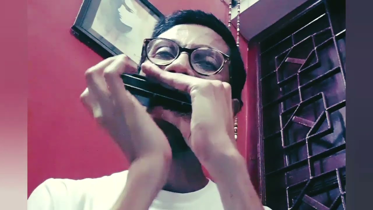 Ja Re Ude Ja Re Pakhi (Salil Chowdhury - Lata Mangeshkar) - Mouth Organ (Arindam Sen)