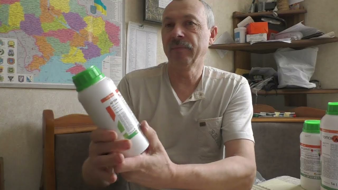 Фунгіциди  Sumi Agro на винограднику цього року.